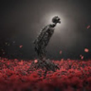 Meet your Posher, No